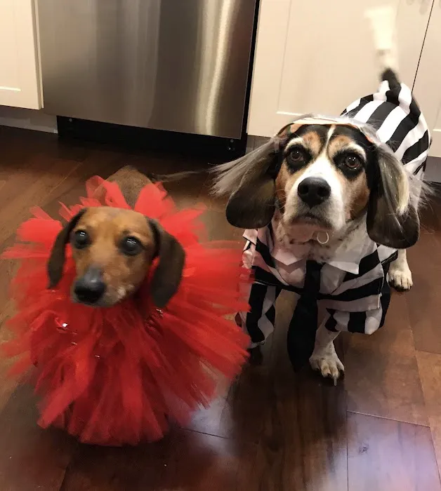 Hickory Ridge Animal Hospital 12