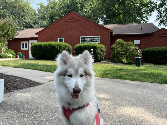 Hickory Ridge Animal Hospital 12
