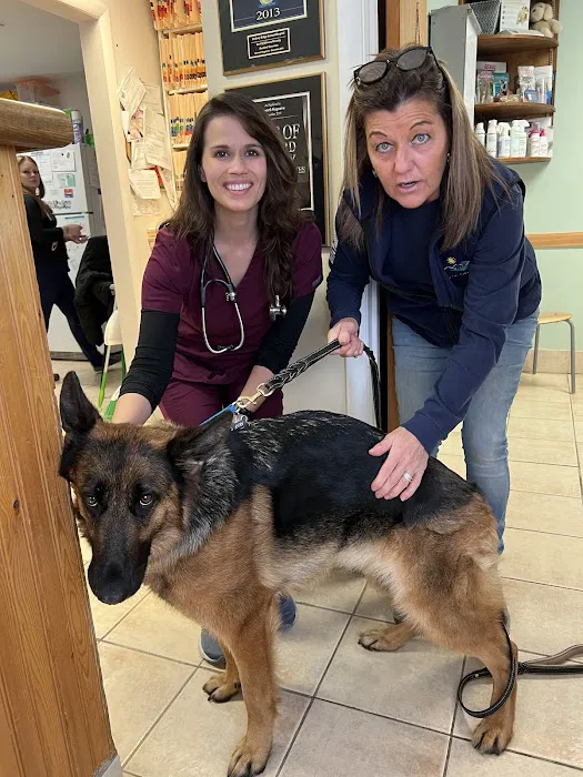 Hickory Ridge Animal Hospital 12