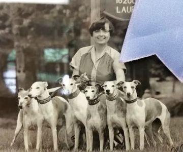 Henderson Barbara DVM