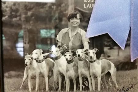 Henderson Barbara DVM