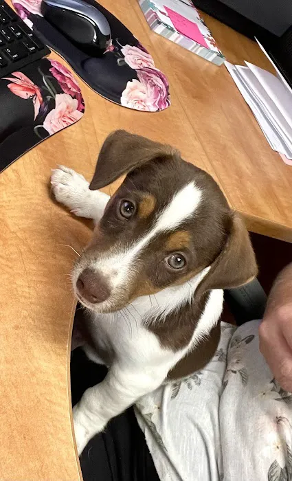Banfield Pet Hospital 9