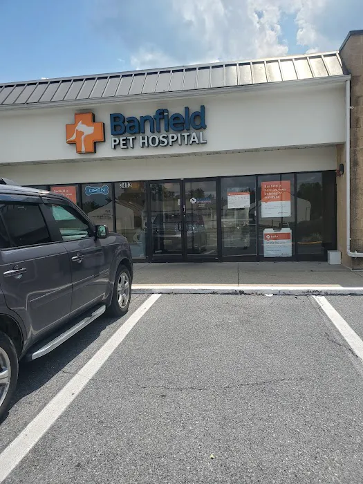 Banfield Pet Hospital 3