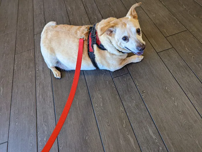 Banfield Pet Hospital 5