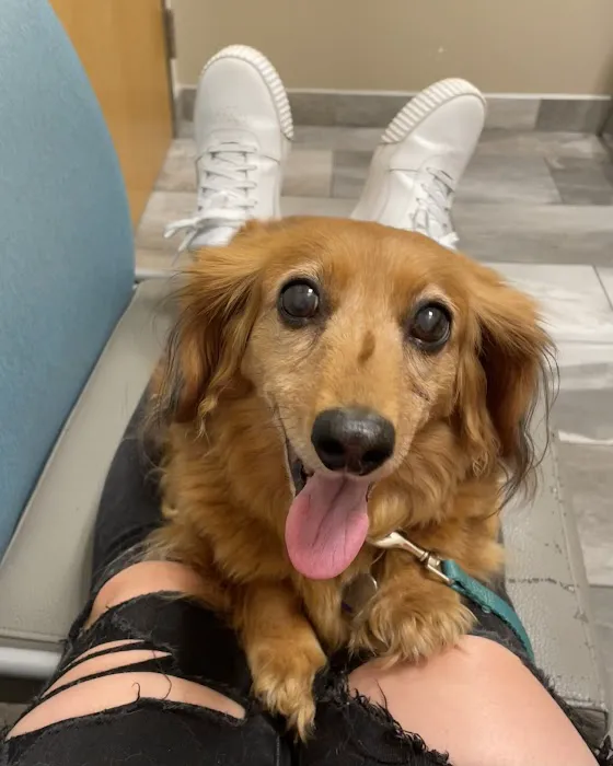 Pet+E.R. 12