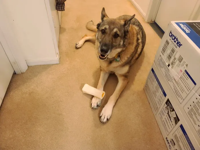 Animal Medical Center of Burtonsville 4