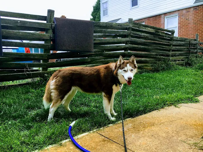 Animal Medical Center of Burtonsville 6