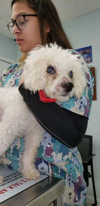 Animal Medical Center of Burtonsville 1