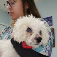 Animal Medical Center of Burtonsville ico