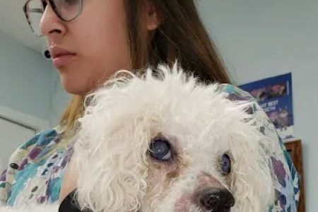 Animal Medical Center of Burtonsville
