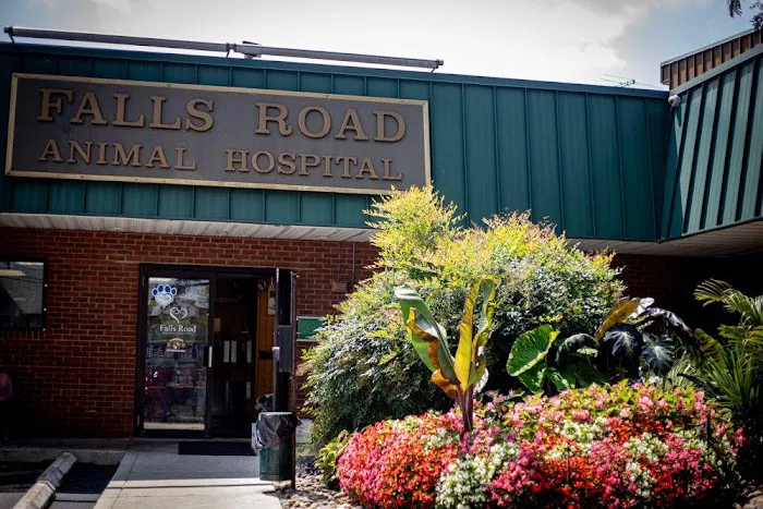 Falls Road Animal Hospital 12