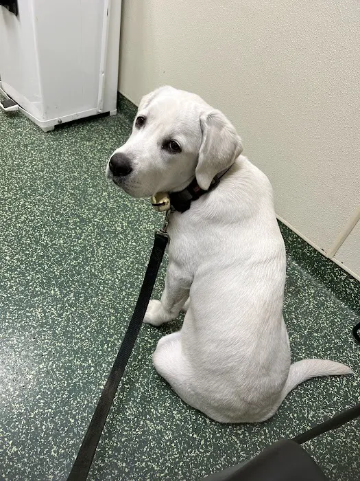Falls Road Animal Hospital 12