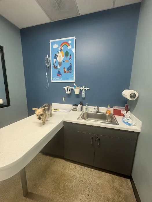 PetWellClinic - Columbia 5