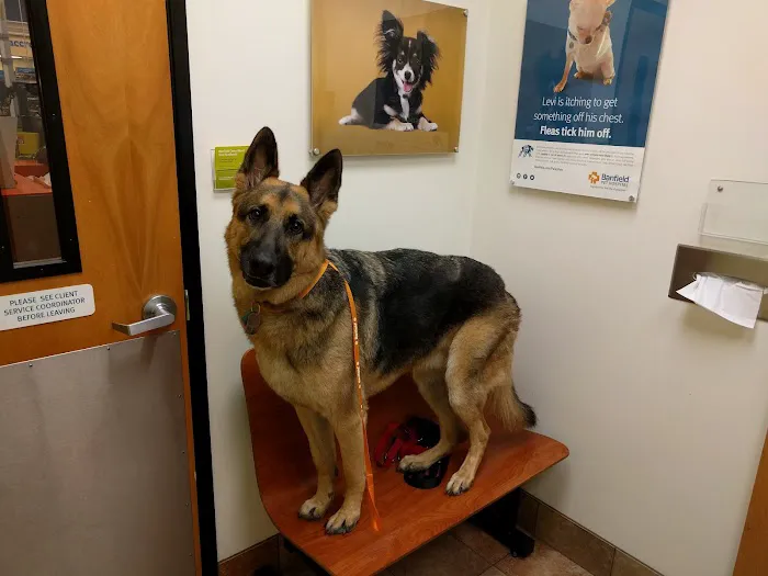 Banfield Pet Hospital 12