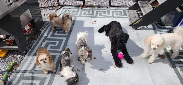 Banfield Pet Hospital 12