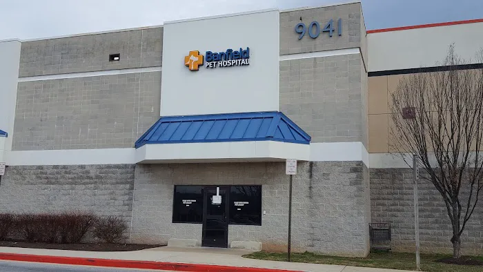 Banfield Pet Hospital 12