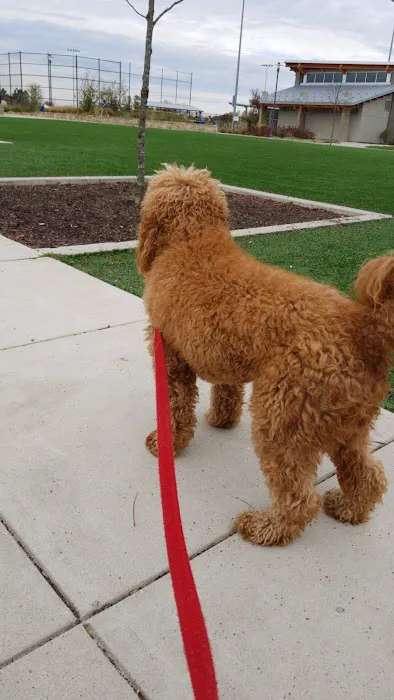 Banfield Pet Hospital 12