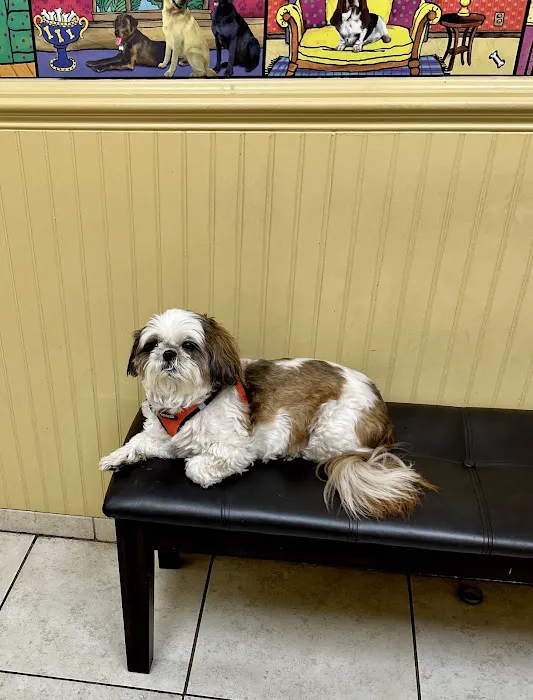 Countryside Veterinary Clinic 12