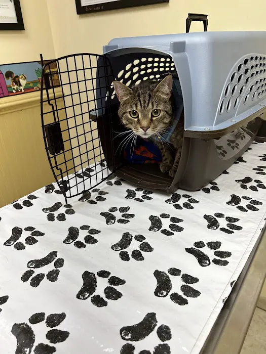 Countryside Veterinary Clinic 12