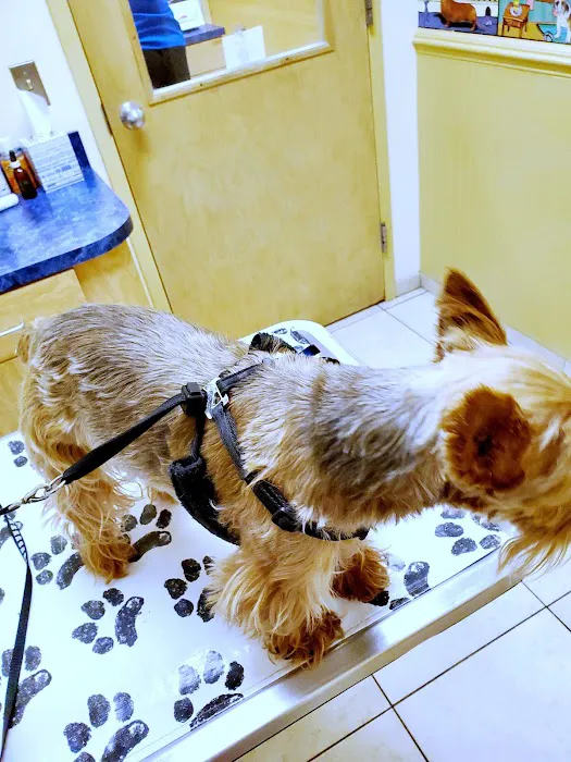 Countryside Veterinary Clinic 12