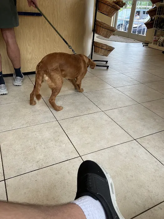 Countryside Veterinary Clinic 12