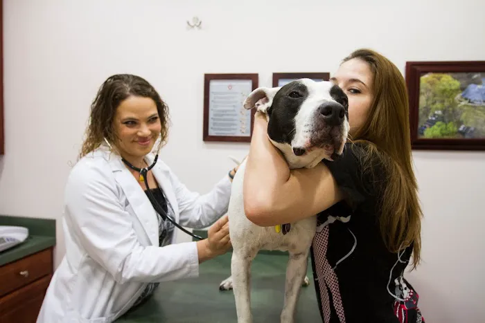 Family Veterinary Clinic 8
