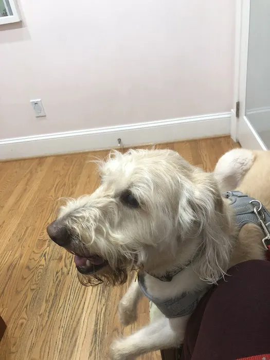 Family Veterinary Clinic 5