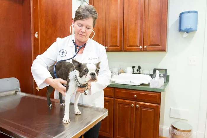 Family Veterinary Clinic 6