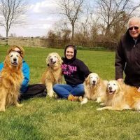 CVCA Cardiac Care For Pets ico