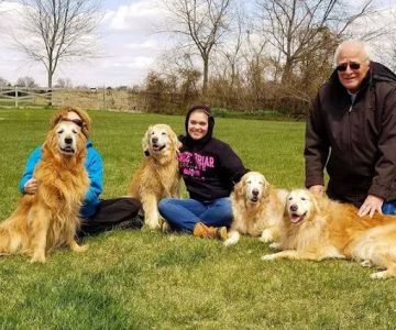 CVCA Cardiac Care For Pets