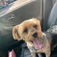 Cloverly Animal Clinic PC ico