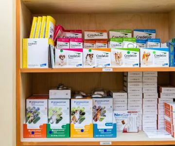 Freetown Animal Hospital