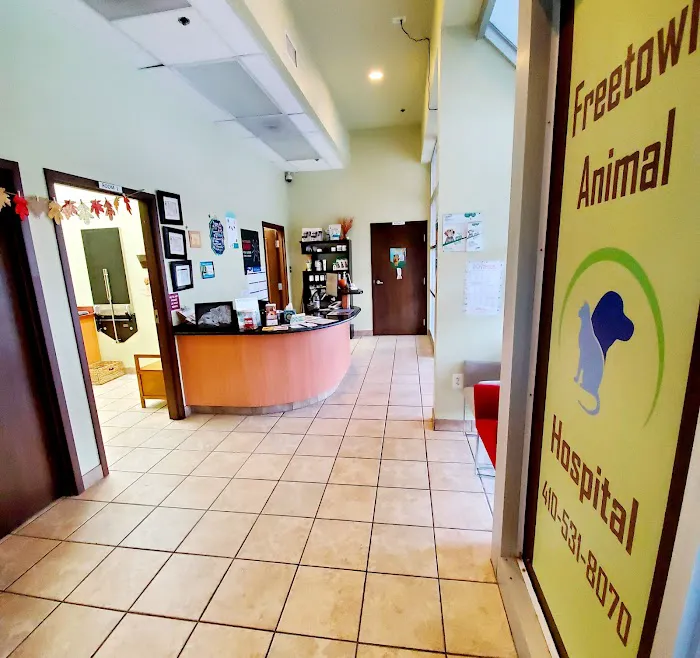 Freetown Animal Hospital 12