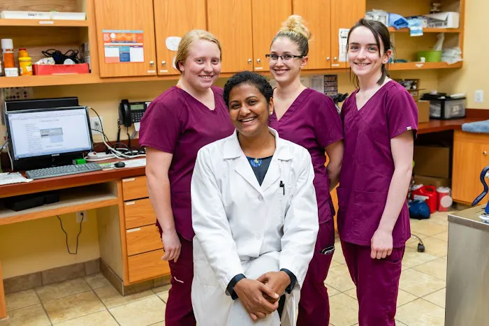 Freetown Animal Hospital 12