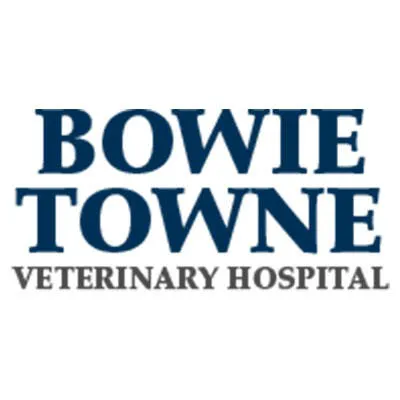 Bowie Towne Veterinary Hospital 2