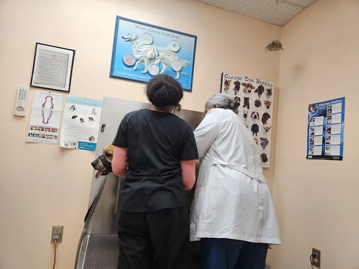 Glenn Dale Veterinary Clinic 12