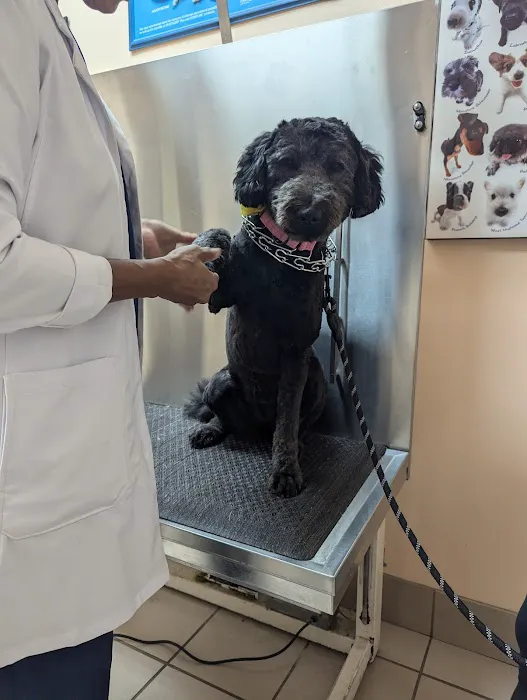 Glenn Dale Veterinary Clinic 12