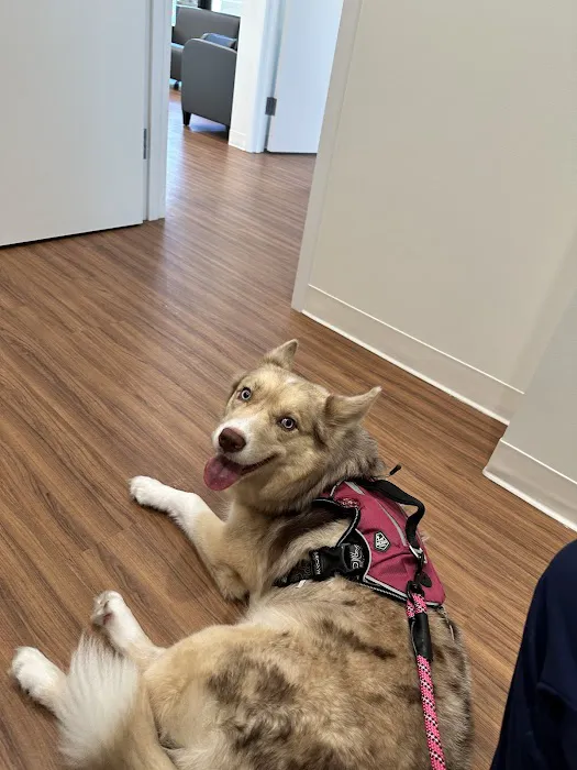 Great Scottie Veterinary Clinic 4