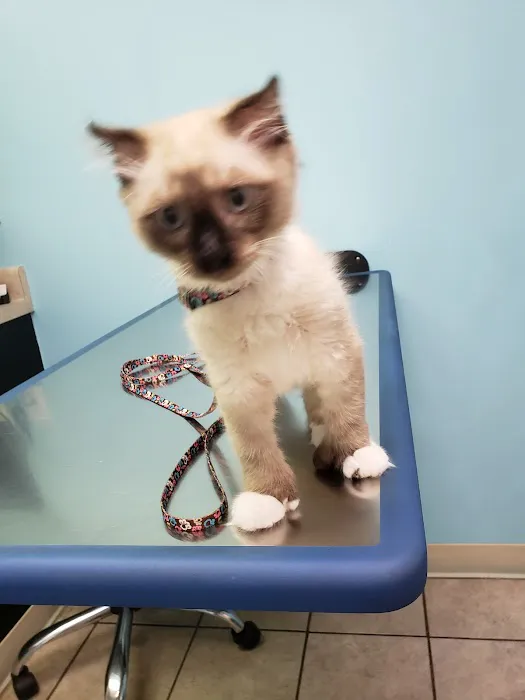 Claws N Paws Animal Hospital 6
