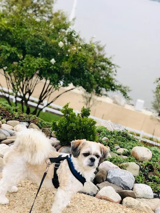 Life Companions Veterinary Hospital 2