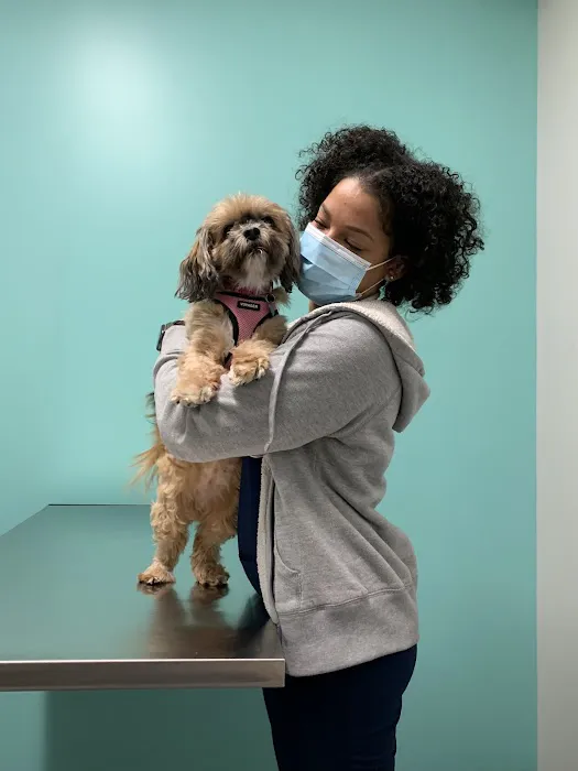 Life Companions Veterinary Hospital 9