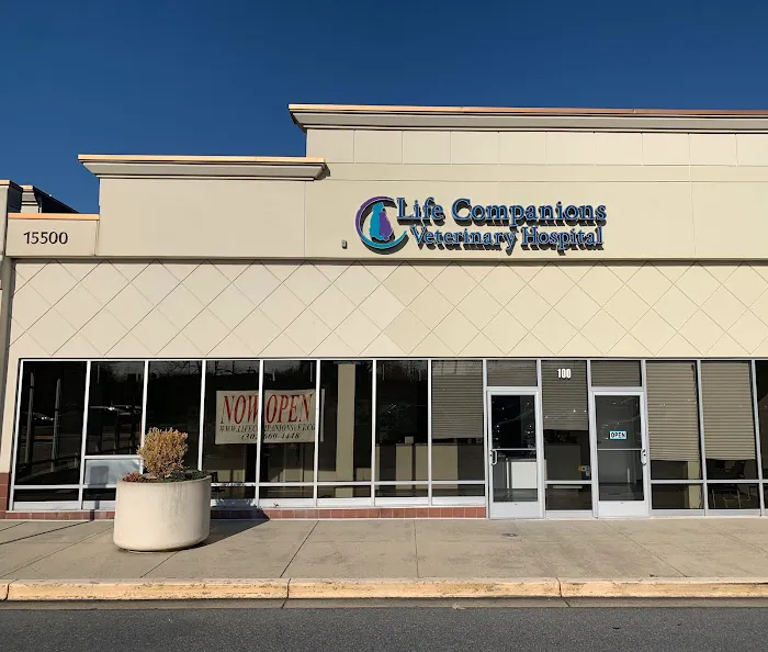Life Companions Veterinary Hospital 8