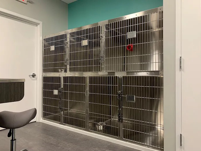 Life Companions Veterinary Hospital 5