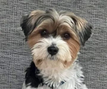 VCA Columbia Animal Hospital at Centre Park