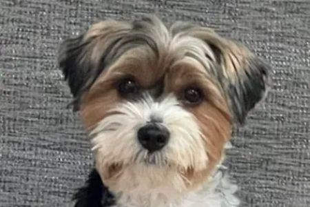VCA Columbia Animal Hospital at Centre Park