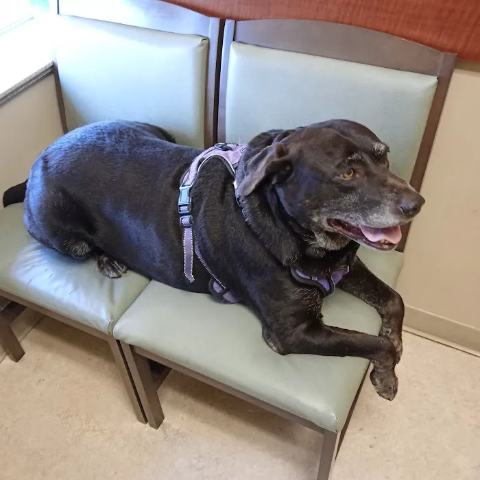VCA Columbia Animal Hospital at Centre Park 7