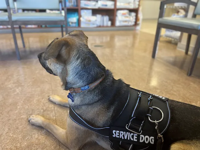 VCA Columbia Animal Hospital at Centre Park 4