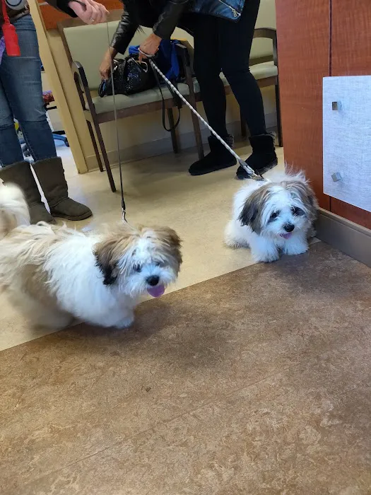 VCA Columbia Animal Hospital at Centre Park 8