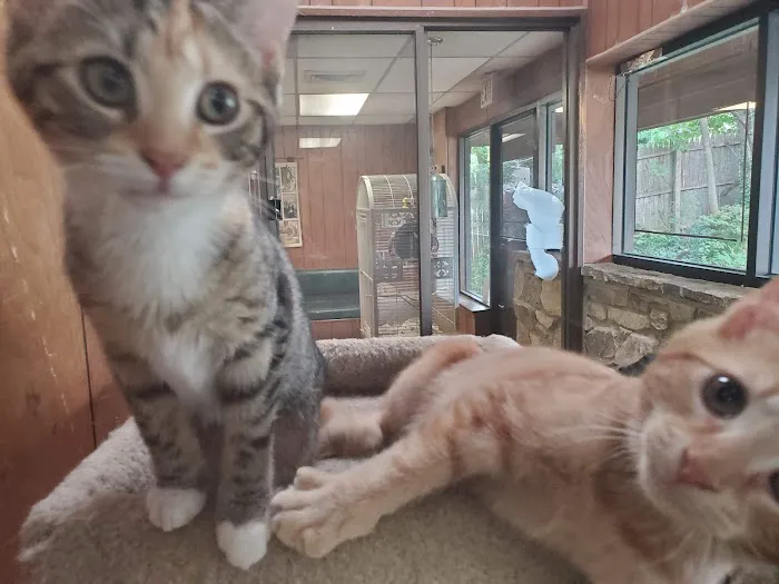 Marymont Animal Hospital Inc 6