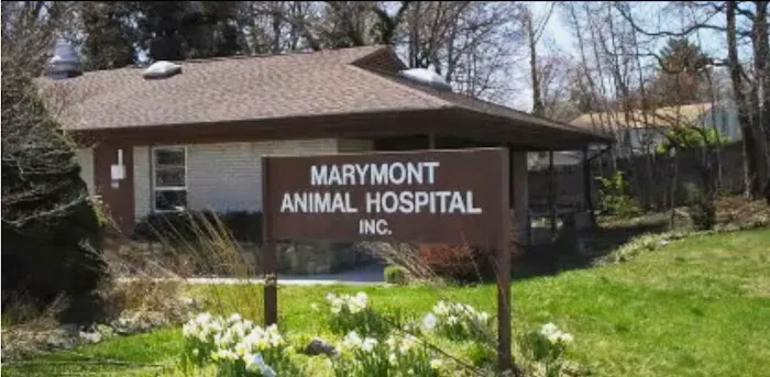 Marymont Animal Hospital Inc 3